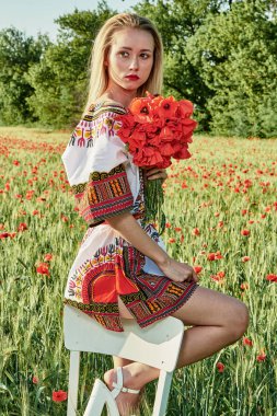 Yeşil buğday ve yabani haşhaş bir alanda beyaz kısa elbiseli uzun saçlı sarışın genç kadın.