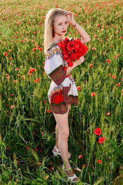 Yeşil buğday ve yabani haşhaş bir alanda beyaz kısa elbiseli uzun saçlı sarışın genç kadın.