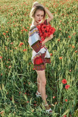 Yeşil buğday ve yabani haşhaş bir alanda beyaz kısa elbiseli uzun saçlı sarışın genç kadın.