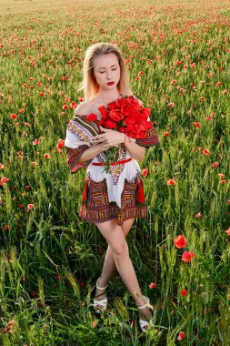 Yeşil buğday ve yabani haşhaş bir alanda beyaz kısa elbiseli uzun saçlı sarışın genç kadın.