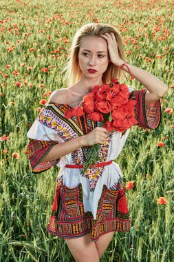 Yeşil buğday ve yabani haşhaş bir alanda beyaz kısa elbiseli uzun saçlı sarışın genç kadın.