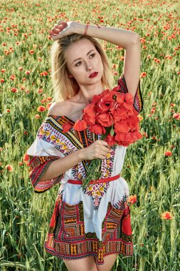 Yeşil buğday ve yabani haşhaş bir alanda beyaz kısa elbiseli uzun saçlı sarışın genç kadın.