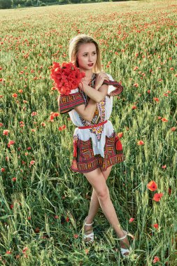 Yeşil buğday ve yabani haşhaş bir alanda beyaz kısa elbiseli uzun saçlı sarışın genç kadın.