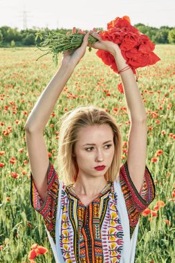 Yeşil buğday ve yabani haşhaş bir alanda beyaz kısa elbiseli uzun saçlı sarışın genç kadın.