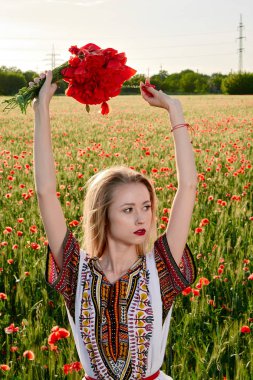 Yeşil buğday ve yabani haşhaş bir alanda beyaz kısa elbiseli uzun saçlı sarışın genç kadın.