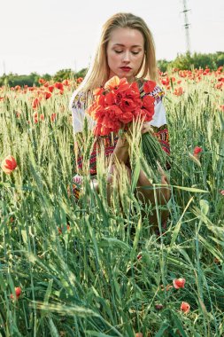 Yeşil buğday ve yabani haşhaş bir alanda beyaz kısa elbiseli uzun saçlı sarışın genç kadın.