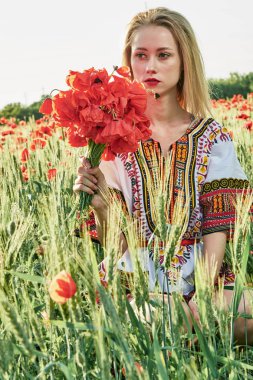Yeşil buğday ve yabani haşhaş bir alanda beyaz kısa elbiseli uzun saçlı sarışın genç kadın.