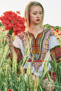 Yeşil buğday ve yabani haşhaş bir alanda beyaz kısa elbiseli uzun saçlı sarışın genç kadın.