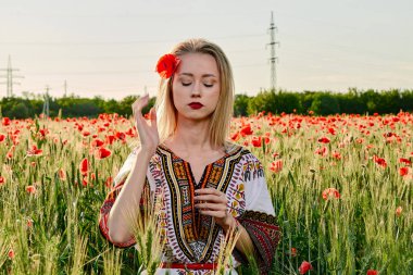 Yeşil buğday ve yabani haşhaş bir alanda beyaz kısa elbiseli uzun saçlı sarışın genç kadın.