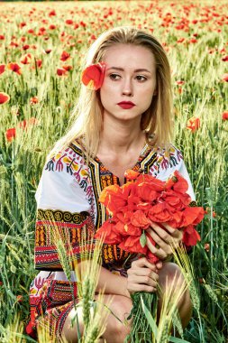 Yeşil buğday ve yabani haşhaş bir alanda beyaz kısa elbiseli uzun saçlı sarışın genç kadın.