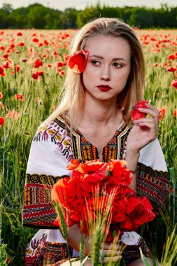 Yeşil buğday ve yabani haşhaş bir alanda beyaz kısa elbiseli uzun saçlı sarışın genç kadın.