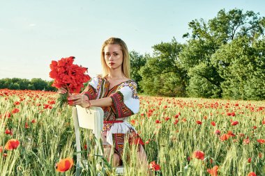 Yeşil buğday ve yabani haşhaş bir alanda beyaz kısa elbiseli uzun saçlı sarışın genç kadın.