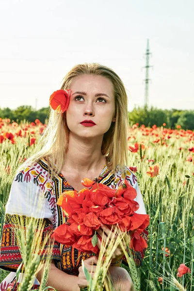 Långhårig blond ung kvinna i en vit kort klänning på ett fält av grönt vete och vilda vallmo. — Stockfoto