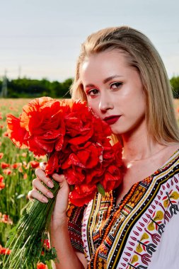 Yeşil buğday ve yabani haşhaş bir alanda beyaz kısa elbiseli uzun saçlı sarışın genç kadın.