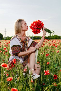 Yeşil buğday ve yabani haşhaş bir alanda beyaz kısa elbiseli uzun saçlı sarışın genç kadın.