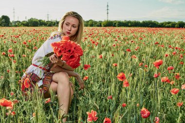 Yeşil buğday ve yabani haşhaş bir alanda beyaz kısa elbiseli uzun saçlı sarışın genç kadın.