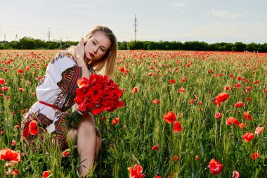 Yeşil buğday ve yabani haşhaş bir alanda beyaz kısa elbiseli uzun saçlı sarışın genç kadın.