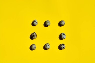 Sarı arka planda bir satırda grup bıldırcın yumurtaları kümesi.