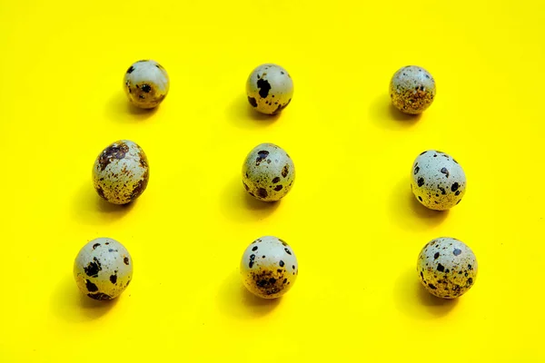 Set of group quail eggs in a row on a yellow background.