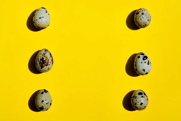 Set of group quail eggs in a row on a yellow background.