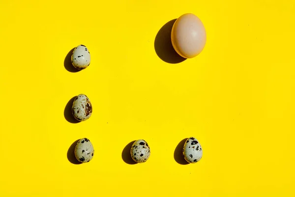 Set of big chicken egg and small quail eggs in a row on a yellow background.