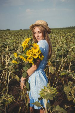 Ayçiçeği tarlasında hasır şapka lı ve mavi elbiseli uzun saçlı sarışın genç kadın.