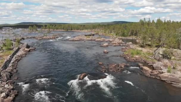 Pantai Sungai Dengan Batu Dan Pohon Menembak Dari Drone — Stok Video