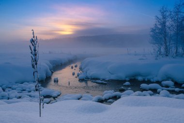 Arkhangelsk region, Rusya Federasyonu gölde kış peyzaj.