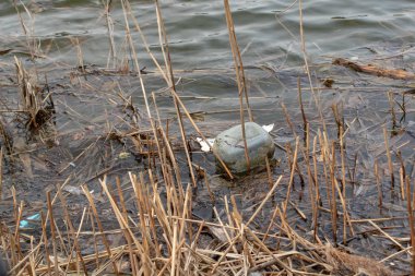 Göldeki plastik çöp. Çevre kirliliği. 
