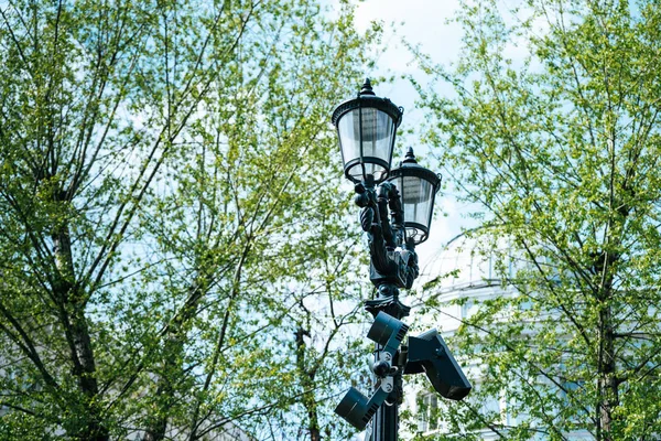 Ağaçların bir arka plan üzerinde parkta sokak lambası görünümü ve