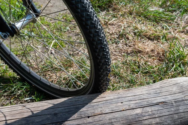Primer plano de una rueda de bicicleta aparcada junto a un viejo tronco grande — Foto de Stock