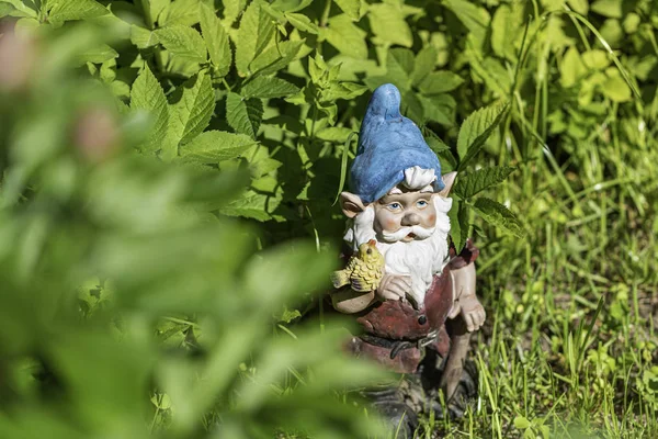 A figura de um gnomo jardim na grama verde. Espaço para cópia. Foco seletivo . — Fotografia de Stock