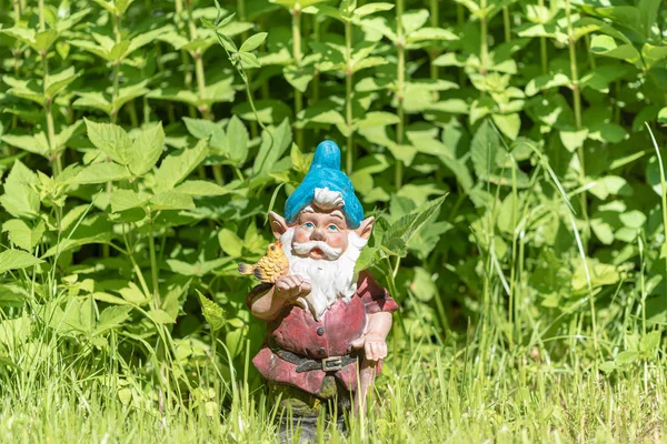 A figura de um gnomo jardim na grama verde. Espaço para cópia. Foco seletivo . — Fotografia de Stock