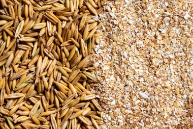 Tahılların ve pulların soyut arkaplanı. Harfler için boşluk