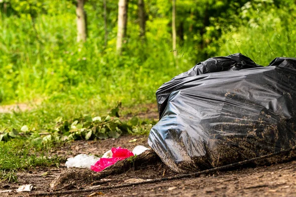 Ormana atılan çöpler. Çevre koruma ve plastik geri dönüşüm sorunları. Seçici odak