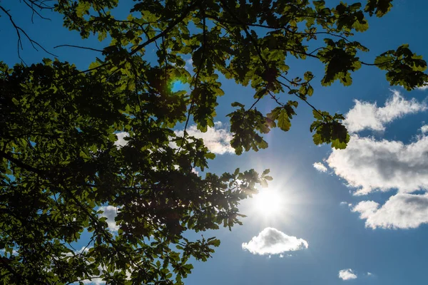 Natürlicher Sonnenschein Blauen Himmel Mit Flauschigen Wolken Durch Die Verschwommenen — Stockfoto