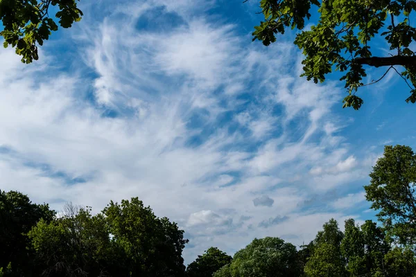 Ciel Bleu Avec Des Nuages Encadrés Par Feuillage Vert Des — Photo