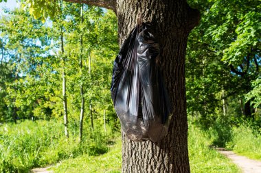 Ağaçta asılı duran siyah plastik çöp torbası. Çevreye önem vermek. Seçici odak.