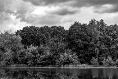 Siyah beyaz manzara. Nehir kıyısındaki kasvetli orman ve yoğun fırtına öncesi bulutlar