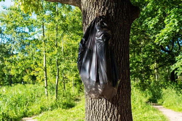 Ağaçta asılı duran siyah plastik çöp torbası. Çevreye önem vermek. Seçici odak.