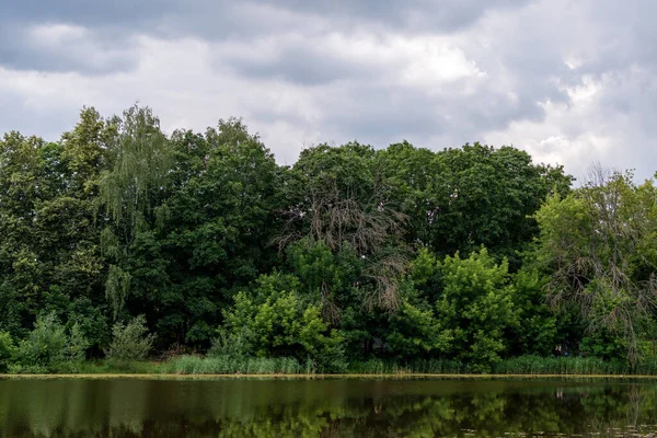 Mixed dense forest by the river and dense pre-thunderstorm clouds