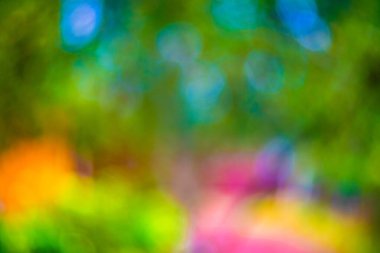 Soyut parlak çok renkli bulanık arkaplan. Gökkuşağının renkleri