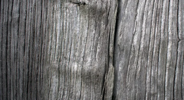 Closeup of old oak board with craks — Stock Photo, Image