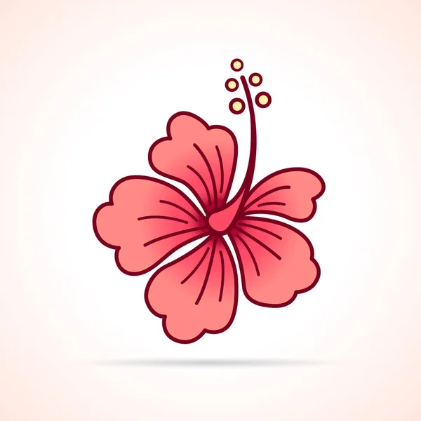 Ilustração Flor Hibisco Sobre Fundo Branco —  Vetores de Stock