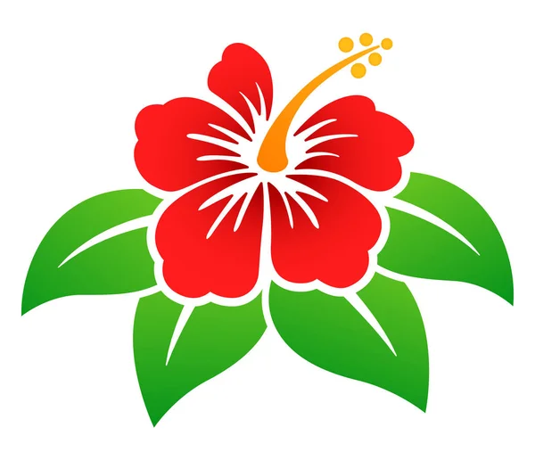 Cartoon hawaiian flowers Vector Art Stock Images | Depositphotos Cartoon hawaiian flowers Vector Art Stock Images | Depositphotos