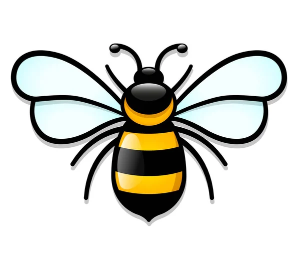 Vector Illustration Isolated Honeybee Cartoon Design — Stock Vector