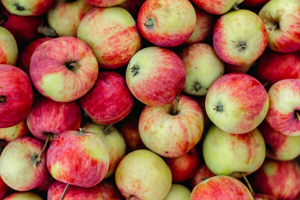 Ripe and fresh apples background.