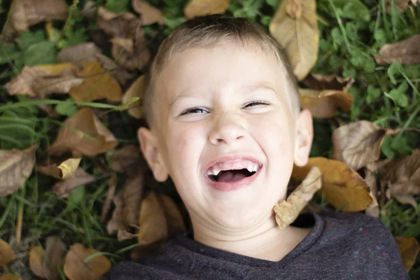 앞 니가 없는 어린 소년이 잔디에 누워가을에 웃 고 있는 나뭇잎 — 스톡 사진