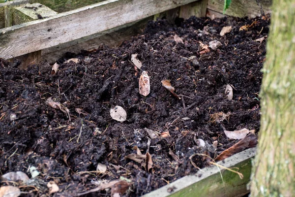 庭で自家製の木製の堆肥ビン 有機生分解性材料や家庭廃棄物をコンポーネントでリサイクルする 最高の有機肥料 — ストック写真