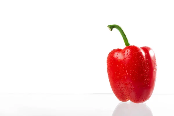 Pimiento rojo con gotas de agua aisladas sobre fondo blanco — Foto de Stock